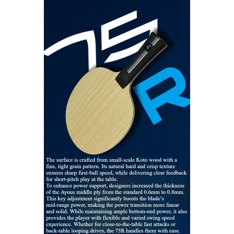 SANWEI 75R 5+2 Outer H-GLC Des – Table Tennis Paddle recenzja i cena