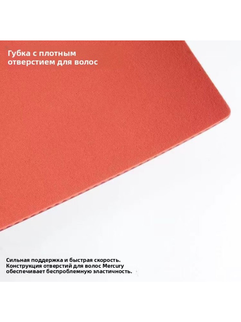 Guma do tenisa stołowego SANWE – Table Tennis Venue recenzja i cena